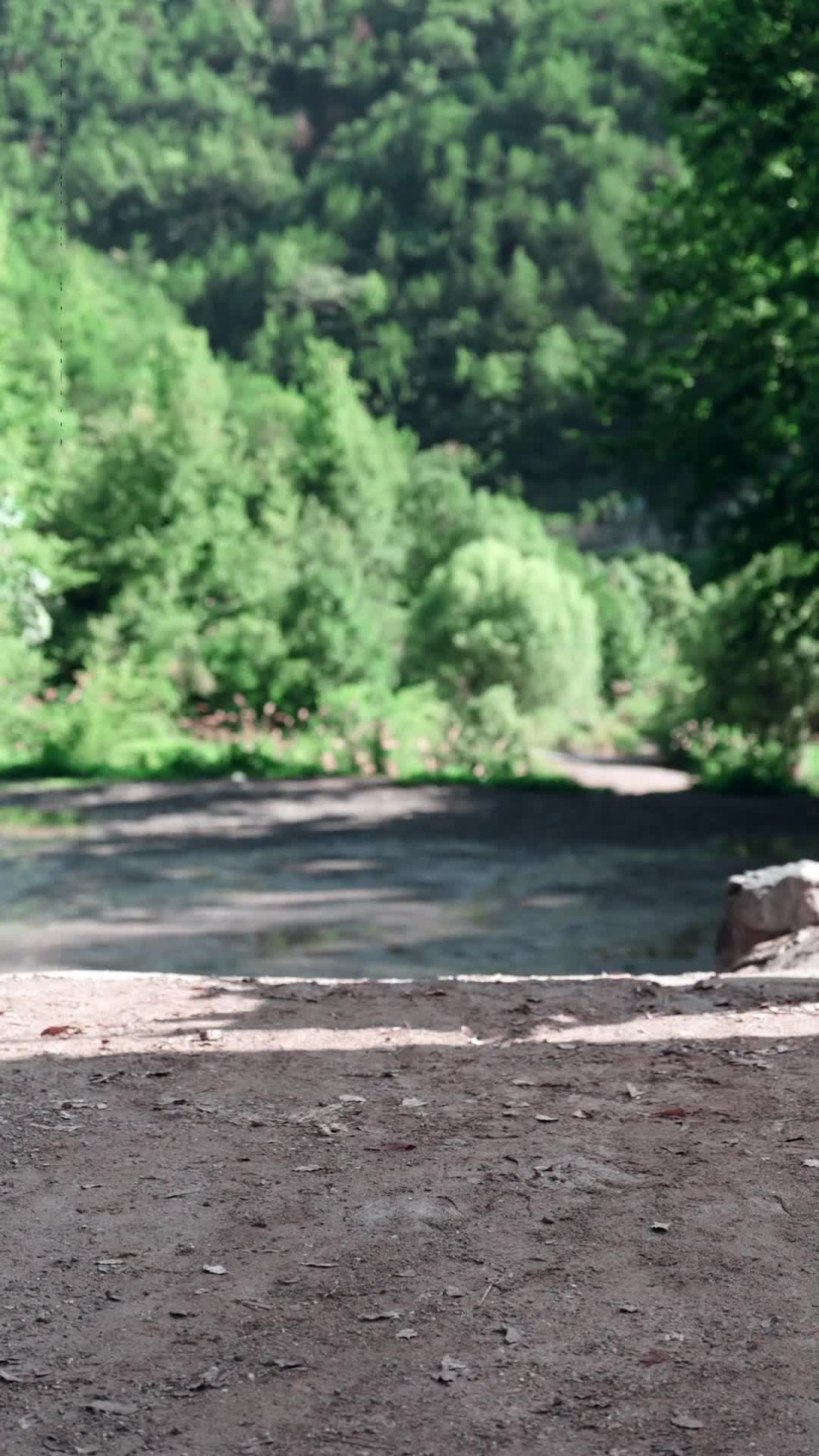 6 серия - Перерождение Отец не верит в меня